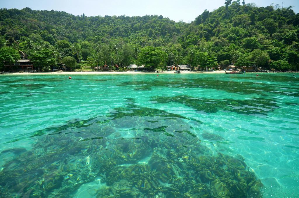 Rantee View Bungalow Kepulauan Phi Phi Bagian luar foto